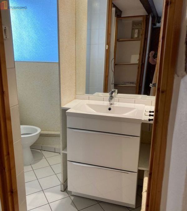 Studio 27m² Strasbourg centre - Étage élevé, lumineux - Photo 4