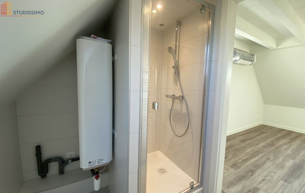 Studio 21m² Mundolsheim - Étage élevé, DPE C - Photo 2
