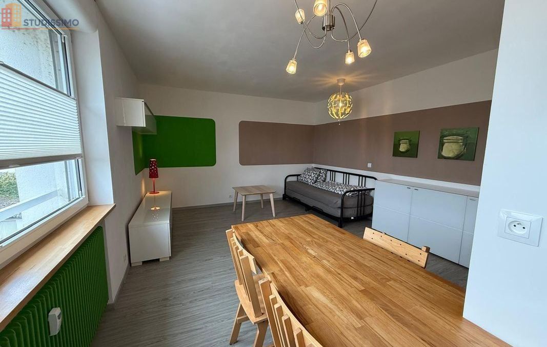 Studio meublé 26m² Huningue - Meublé, DPE C - Photo 7