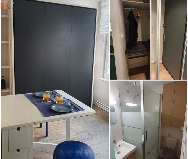 Studio meublé 14m² Strasbourg centre - Vue cathédrale - Photo 2