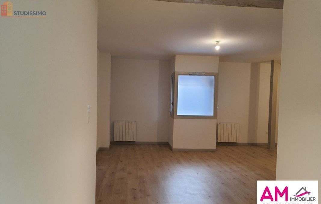 Studio 45m² Colmar - Lumineux, 2e étage - Photo 6
