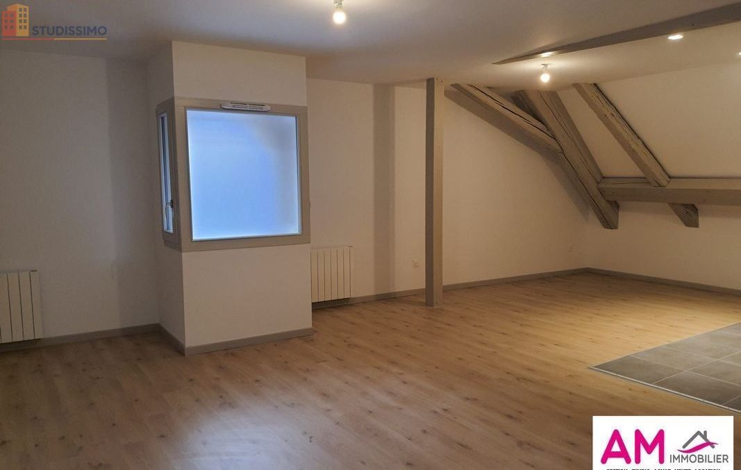 Studio 45m² Colmar - Lumineux, 2e étage - Photo 5