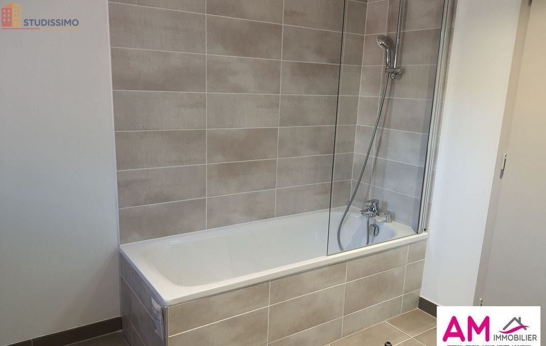 Studio 45m² Colmar - Lumineux, 2e étage - Photo 1