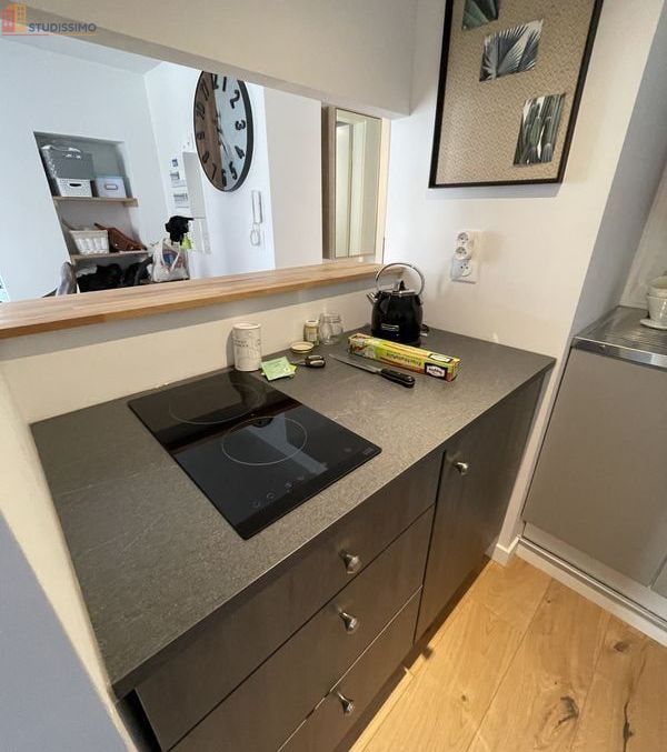 Studio meublé 20m² Strasbourg centre - Lumineux, 3e étage - Photo 2