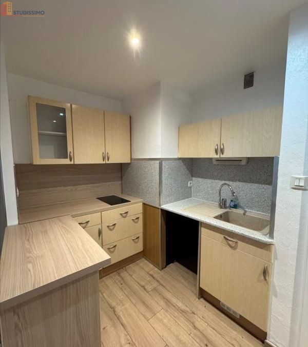 Studio 29m² Colmar - Lumineux, proche centre-ville - Photo 3