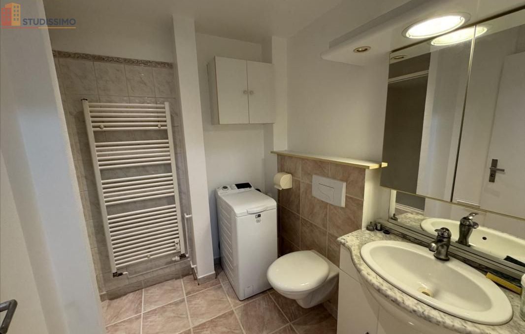 Studio 29m² Colmar - Lumineux, proche centre-ville - Photo 1