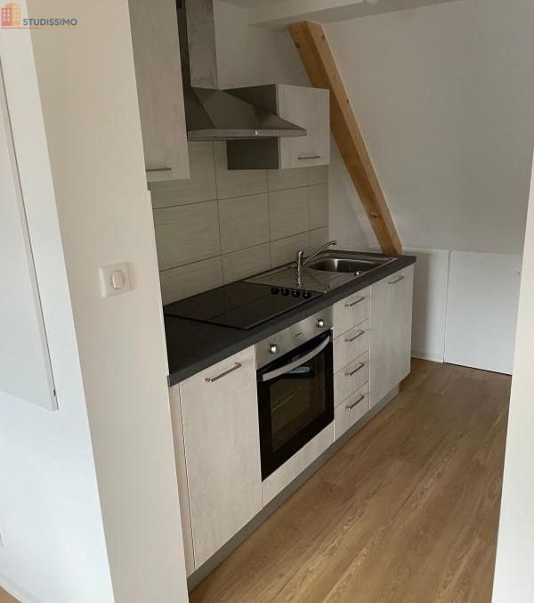 Studio 27m² Riedisheim - 2e étage, DPE D - Photo 2