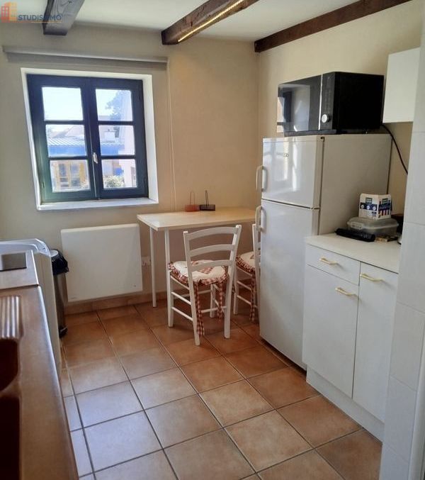 Studio meublé 28m² Andolsheim - Meublé, DPE D - Photo 2