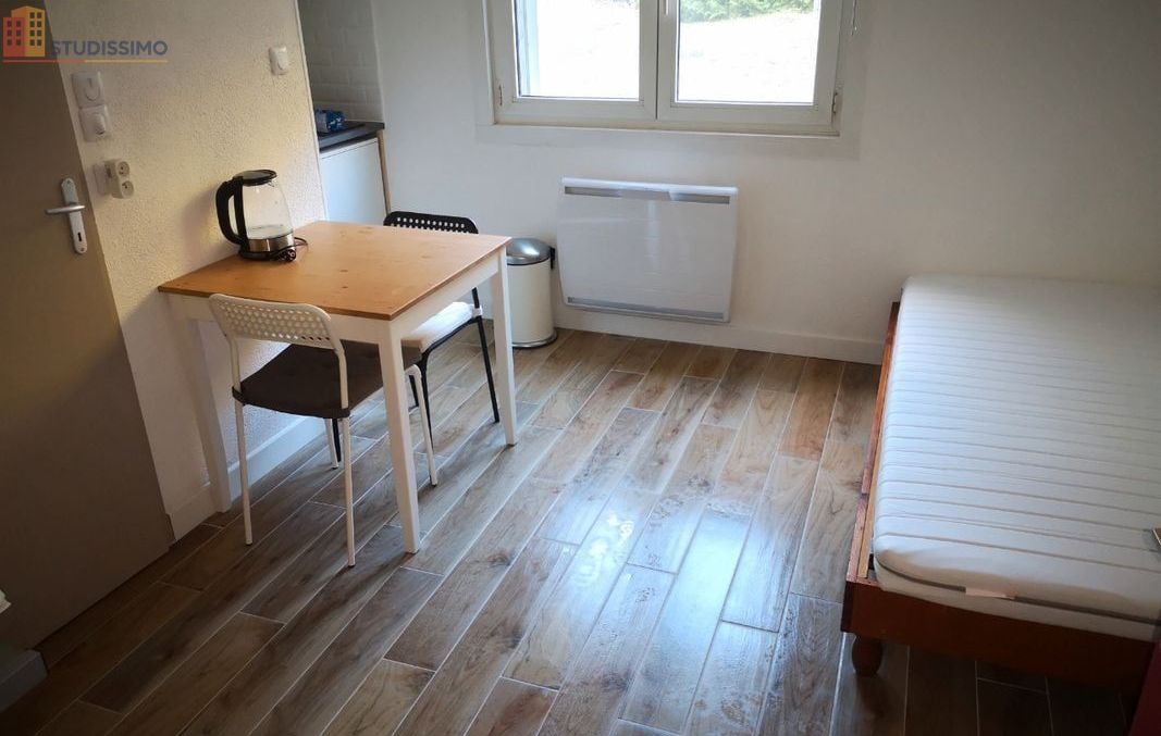 Studio meublé 15m² Brunstatt-Didenheim - Meublé, DPE D - Photo 1