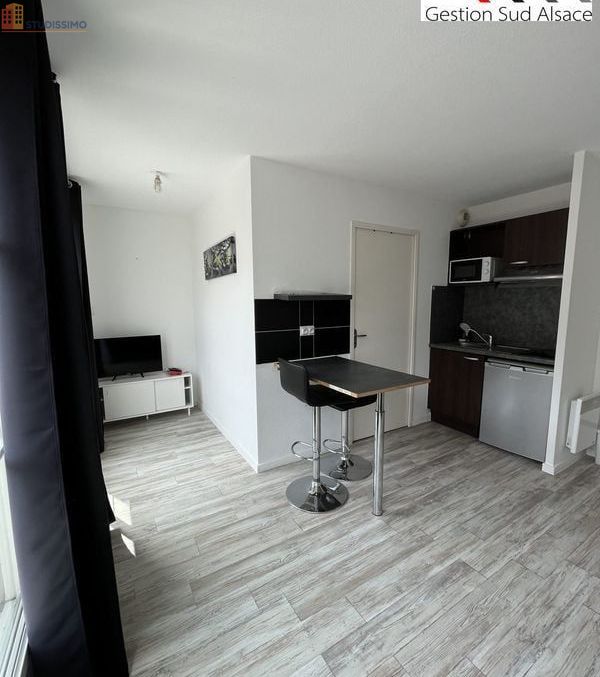 Studio meublé 20m² Mulhouse 68100 - Dernier étage, lumineux - Photo 6