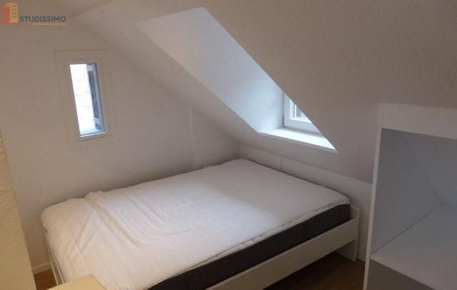 Studio meublé 19m² Strasbourg centre - Meublé, lumineux - Photo 5