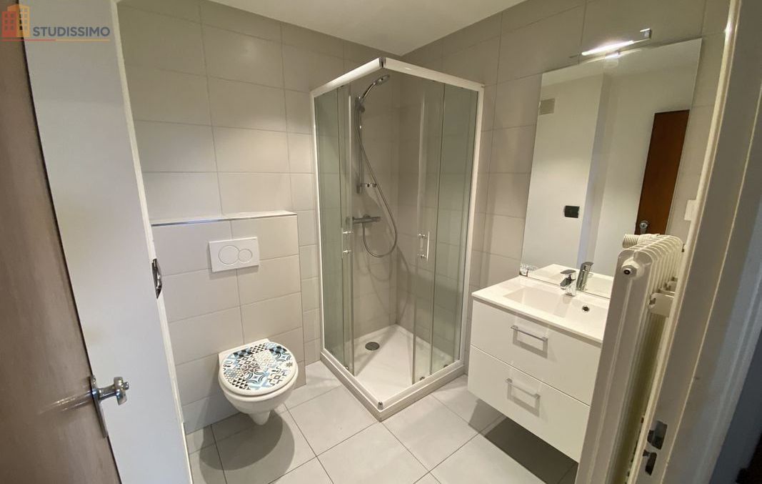Studio 41m² Colmar - étage 3, DPE D - Photo 3