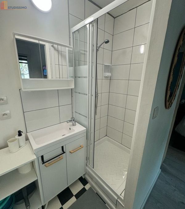 Studio meublé 19m² Mulhouse 68100 - Climatisé, équipé - Photo 1