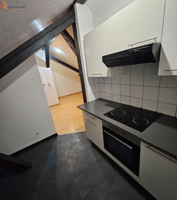 Studio 35m² Mulhouse centre - Proche hypercentre - Photo 18