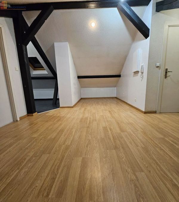 Studio 35m² Mulhouse centre - Proche hypercentre - Photo 10