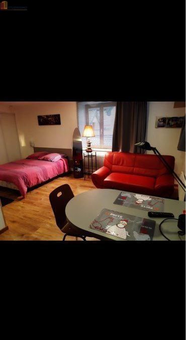 Studio meublé 35m² Ensisheim centre-ville - Meublé, lumineux - Photo 1