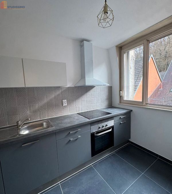 Studio meublé 34m² Thann - Lumineux, rénové - Photo 2