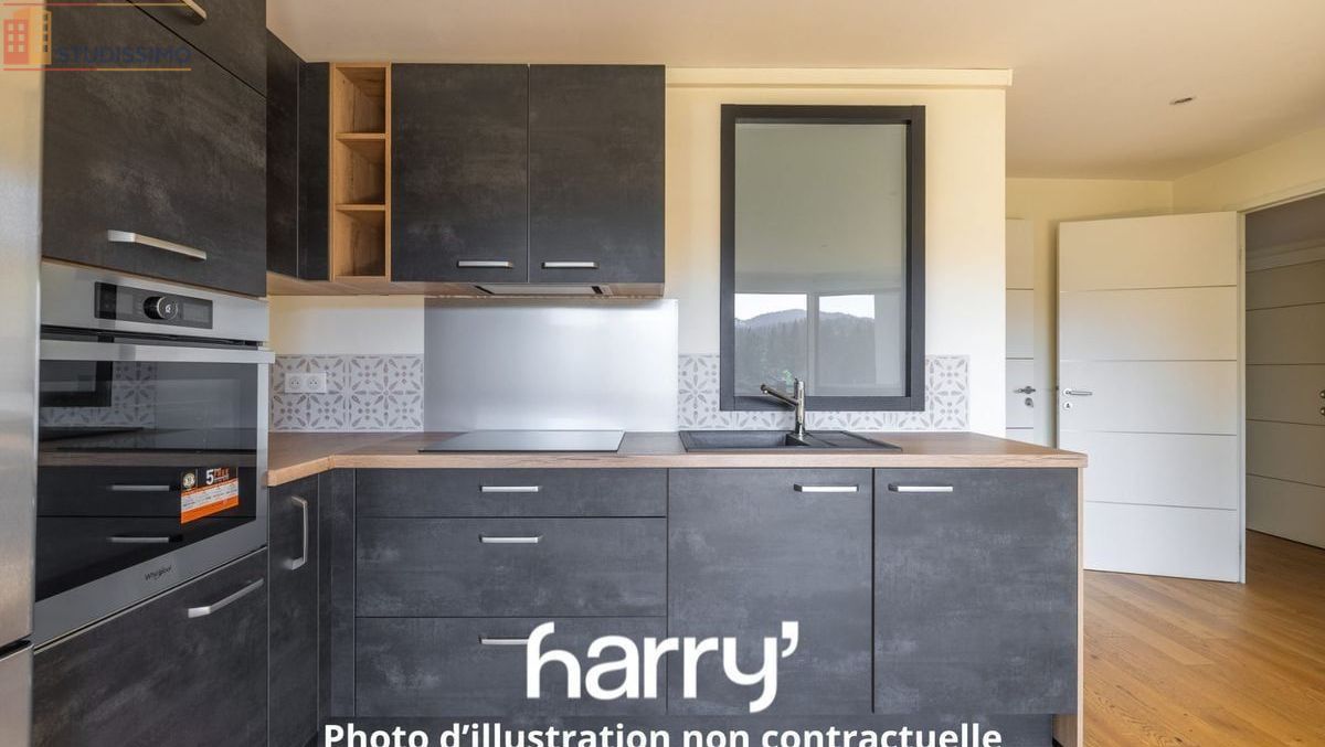 Studio 85m² Frasne - étage 2/3, atypique - Photo 4