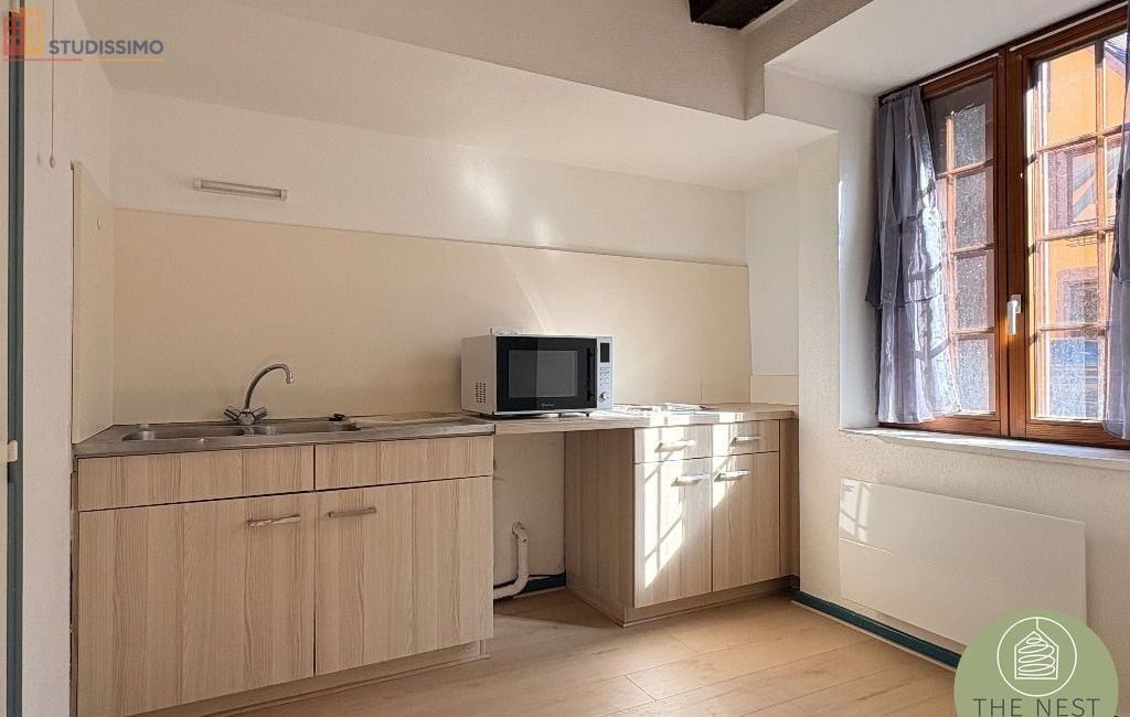Studio 26m² Ribeauvillé - (aucune caractéristique) - Photo 3
