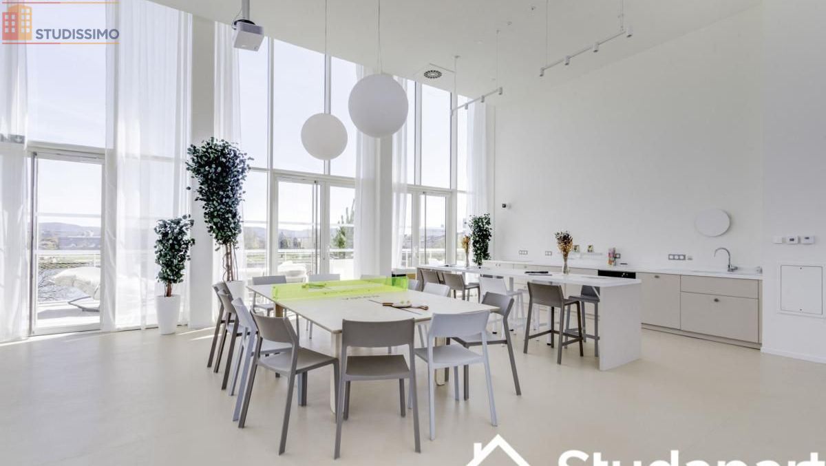 Studio meublé 20m² Huningue - Meublé, DPE A - Photo 3