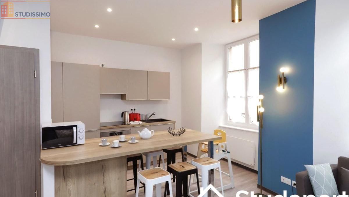 Studio meublé 10m² Colmar 68000 - Meublé, DPE D - Photo 4