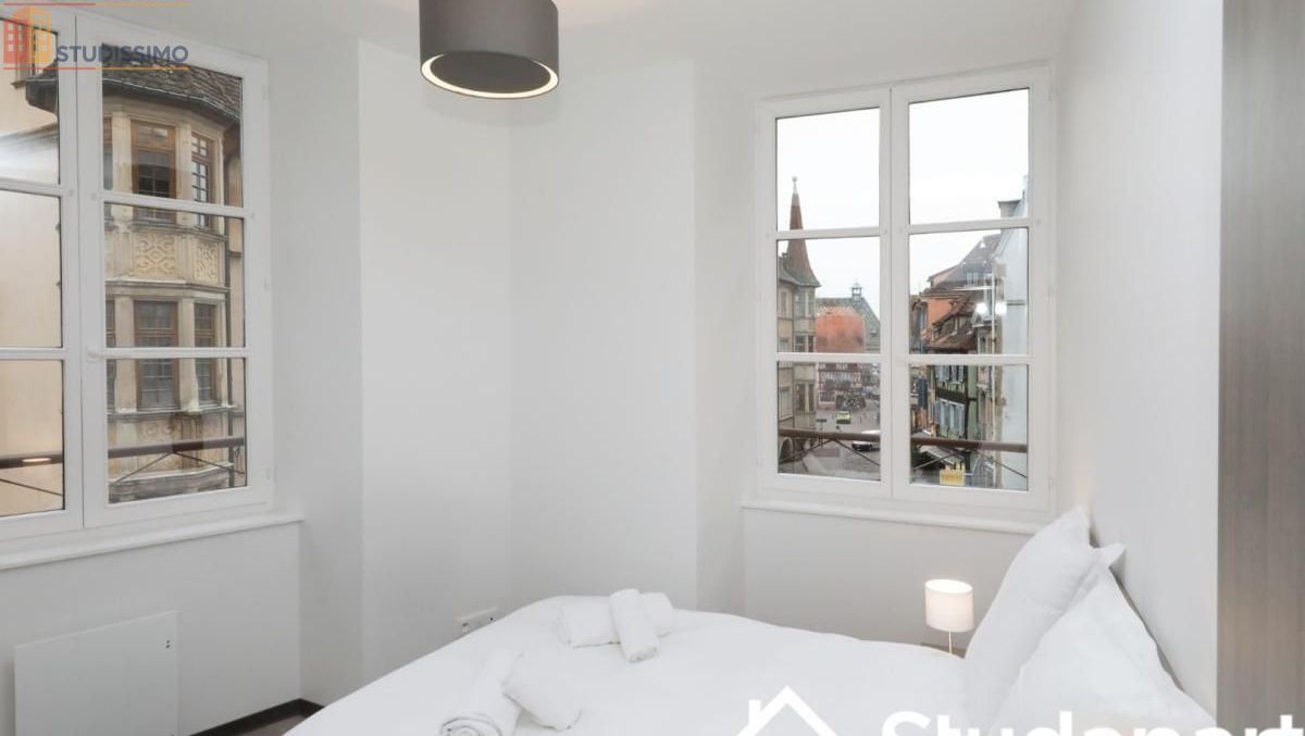 Studio meublé 10m² Colmar 68000 - Meublé, DPE D - Photo 3