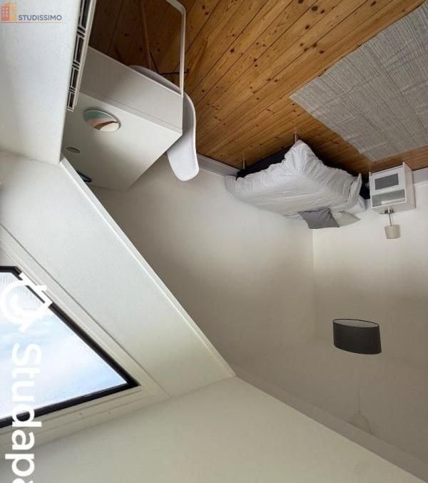 Studio meublé 17m² Mulhouse 68200 - Calme, lumineux - Photo 4