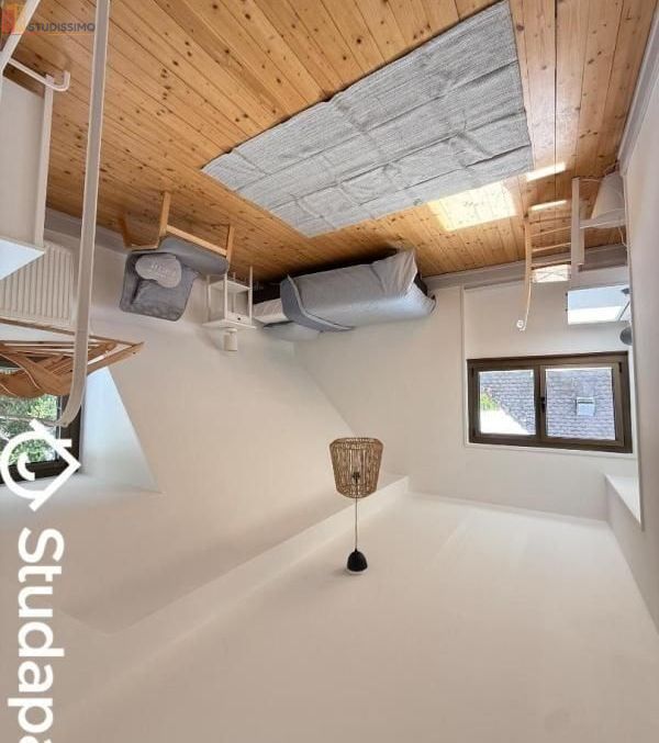 Studio meublé 17m² Mulhouse 68200 - Calme, lumineux - Photo 2