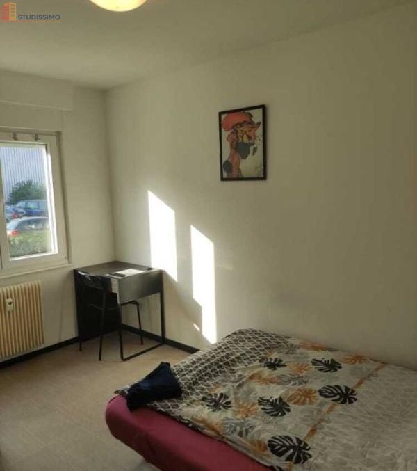Studio 9m² Mulhouse 68200 - Meublé, DPE A - Photo 3