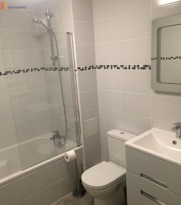 Studio 34m² Mulhouse centre - Rénové, zone piétonne - Photo 1