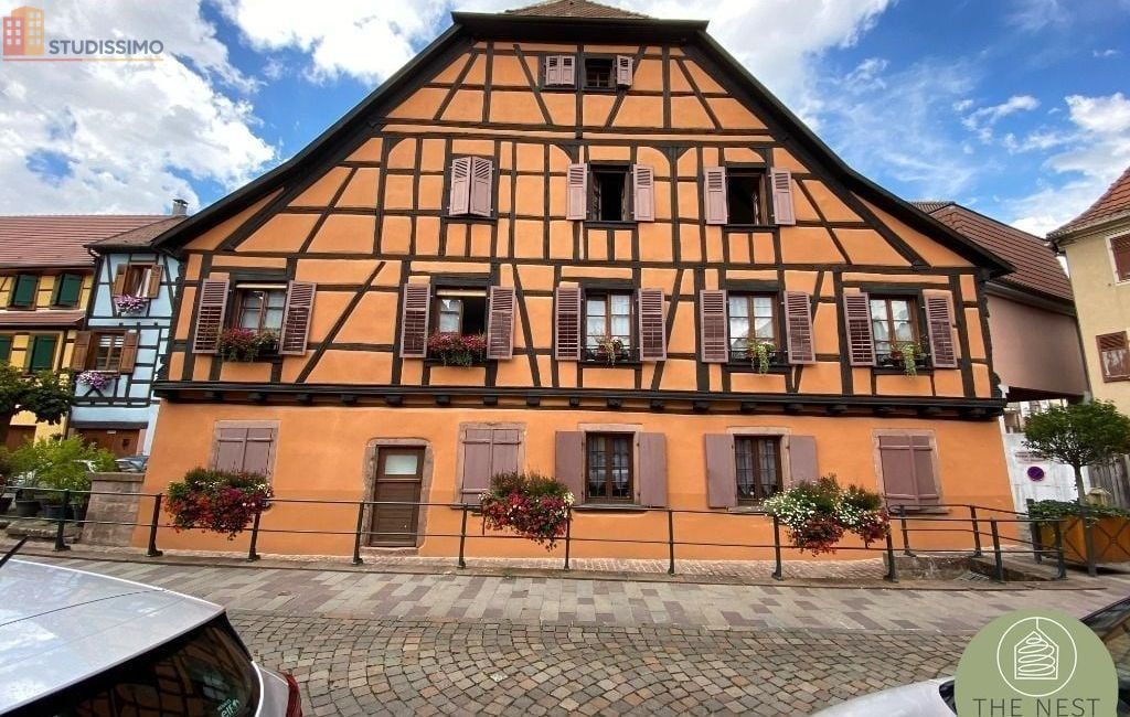 Studio 28m² Ribeauvillé - DPE C - Photo 1