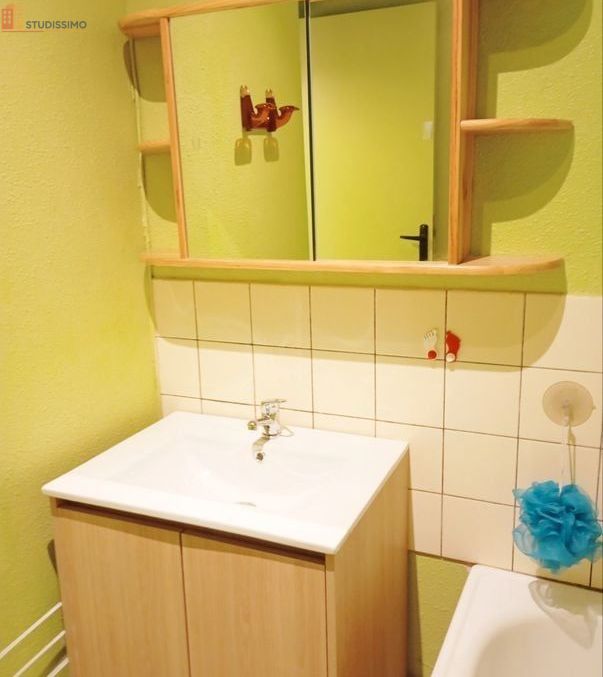 Studio meublé 20m² Montbéliard centre - Lumineux - Photo 1
