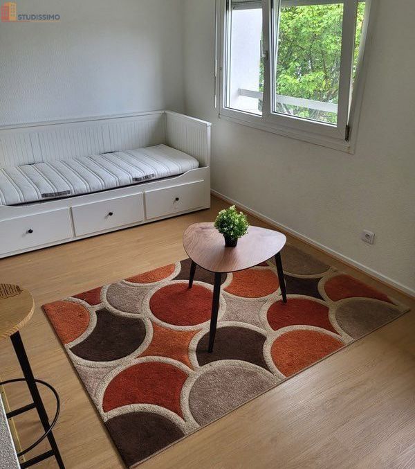 Studio meublé 25m² Strasbourg Robertsau - Meublé, lumineux - Photo 2