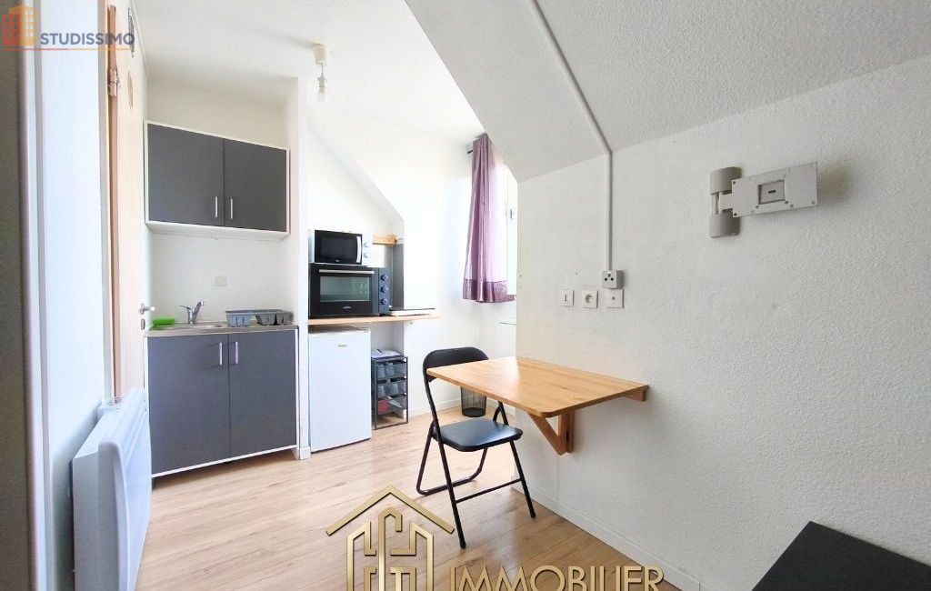 Studio meublé 15m² Colmar - Lumineux, étage élevé - Photo 7