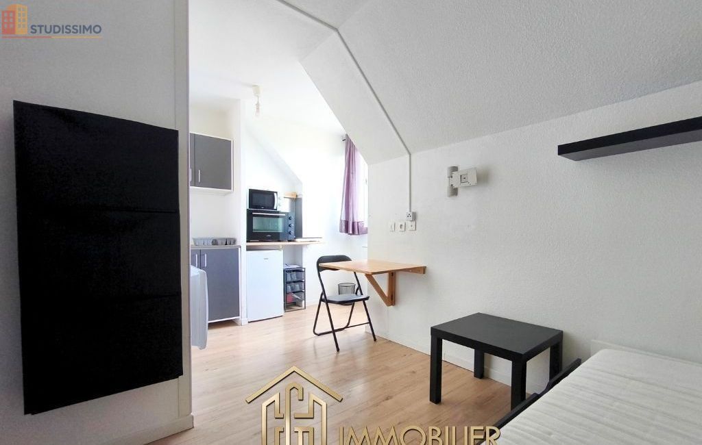 Studio meublé 15m² Colmar - Lumineux, étage élevé - Photo 5