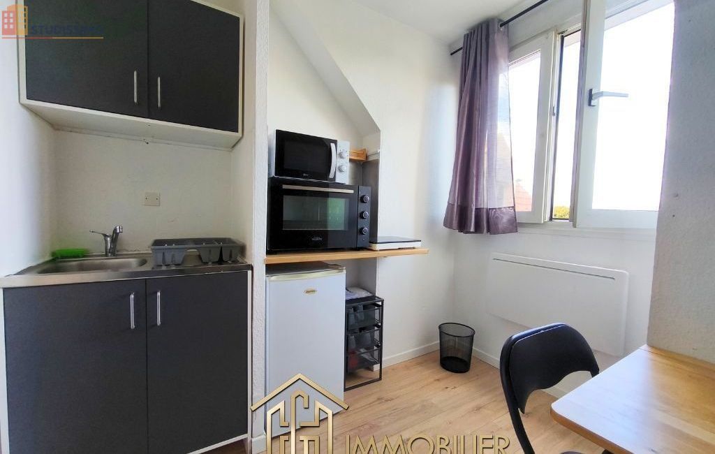 Studio meublé 15m² Colmar - Lumineux, étage élevé - Photo 6