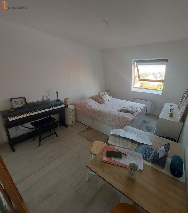 Studio 21m² Illkirch-Graffenstaden - 2e étage, DPE C - Photo 3
