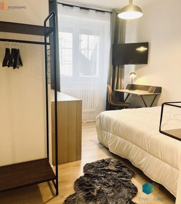 Studio meublé 10m² Strasbourg centre - Meublé, DPE C - Photo 8