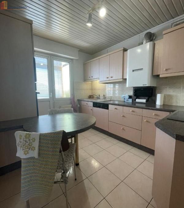 Studio 12m² Schiltigheim - Meublé, DPE A - Photo 3