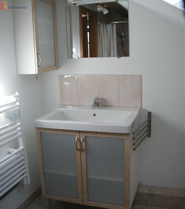 Studio 22m² Seppois-le-Haut - Étage élevé, DPE D - Photo 2