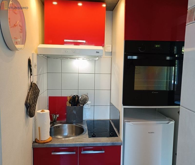Studio meublé 19m² Guebwiller - Meublé, 1er étage - Photo 1