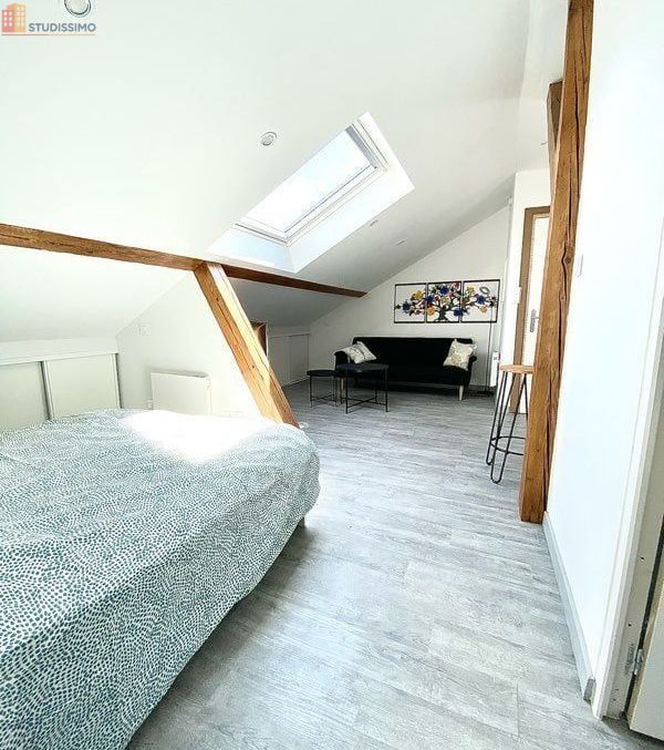 Studio meublé 20m² Mulhouse 68100 - Meublé, dernier étage - Photo 3