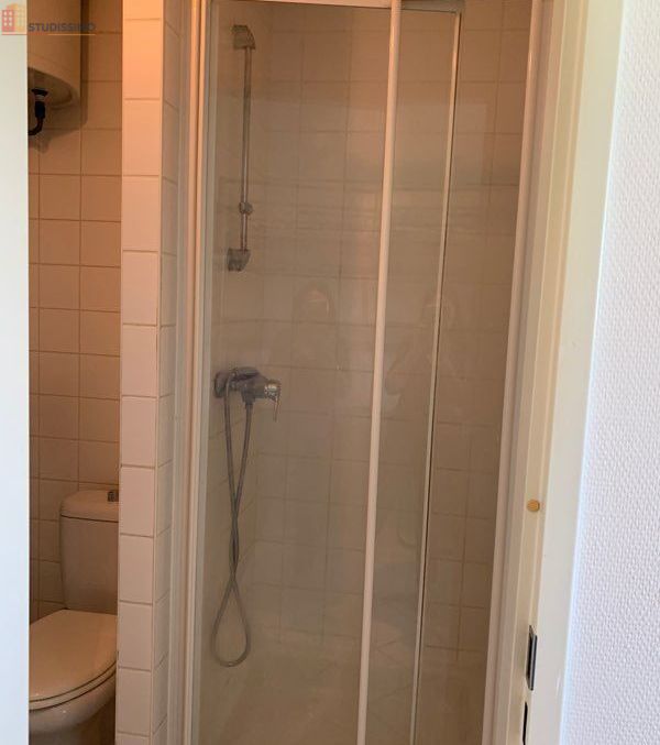 Studio 13m² Mulhouse centre - Meublé, dernier étage - Photo 1