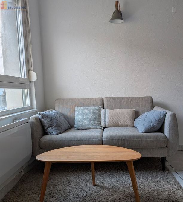 Studio meublé 26m² Mulhouse centre - Piéton, lumineux - Photo 2