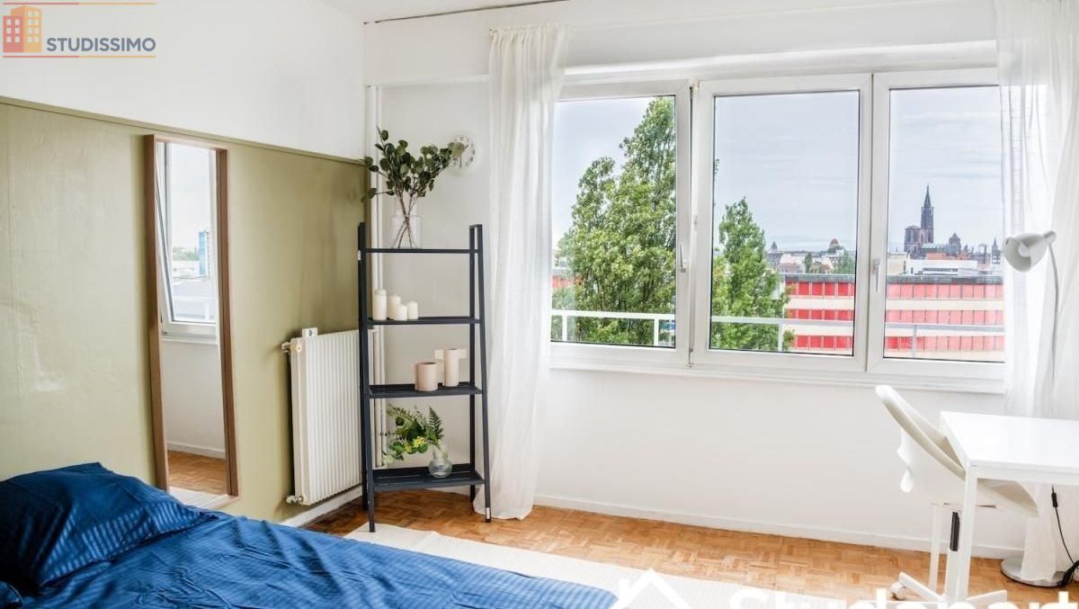 Studio meublé 16m² Strasbourg - Lumineux, étage élevé - Photo 1