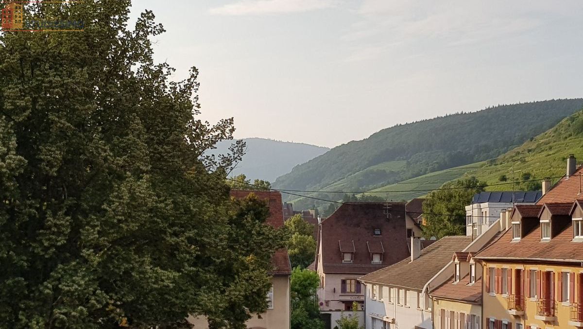 Studio meublé 24m² Guebwiller - Proche parcs, calme - Photo 1