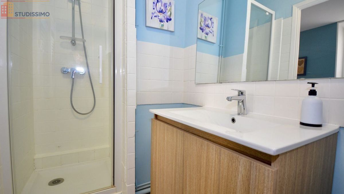Studio meublé 18m² Châtel-Guyon - Meublé, DPE C - Photo 5