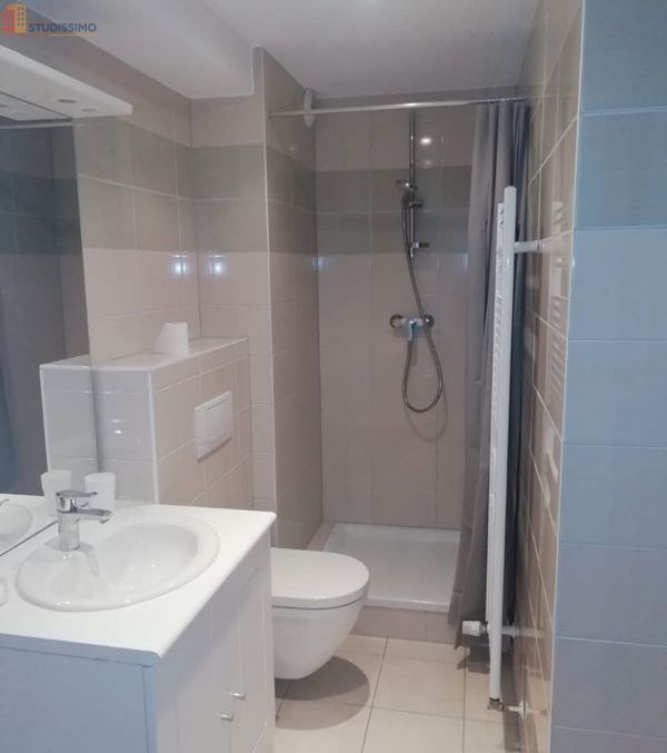 Studio meublé 25m² Colmar 68000 - Proche IUT, lumineux - Photo 2