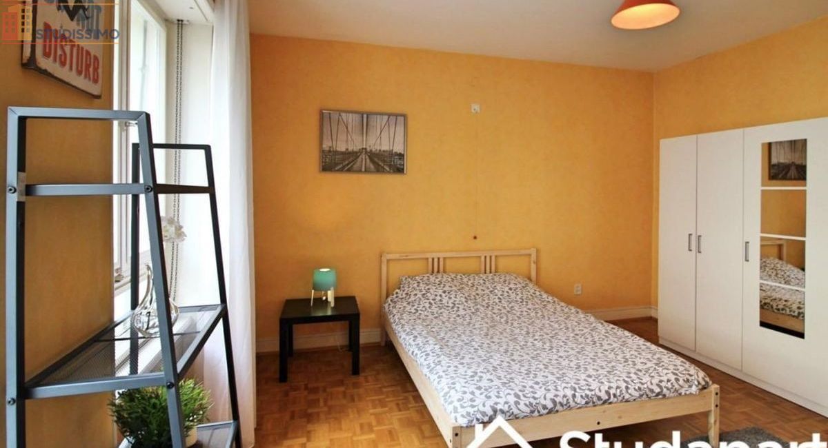 Studio meublé 15m² Strasbourg - Lumineux, DPE A - Photo 4