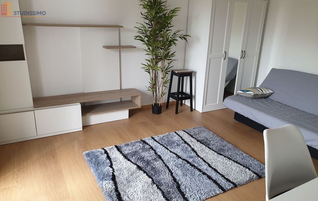Studio meublé 30m² Mulhouse 68200 - Belle surface, lumineux - Photo 1